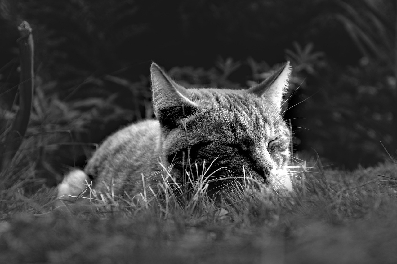 30代が試したい睡眠改善に効果的なグッズは？