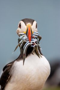 30代におすすめのFX取引ツールの評判は？