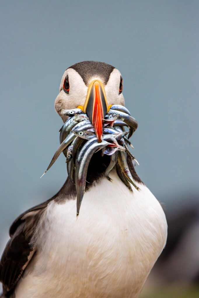 30代におすすめのFX取引ツールの評判は？