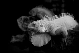 30代におすすめのFXスキャルピング副業とは？