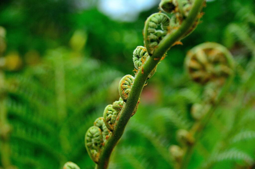 30代におすすめの無添加シャンプーはどれ？