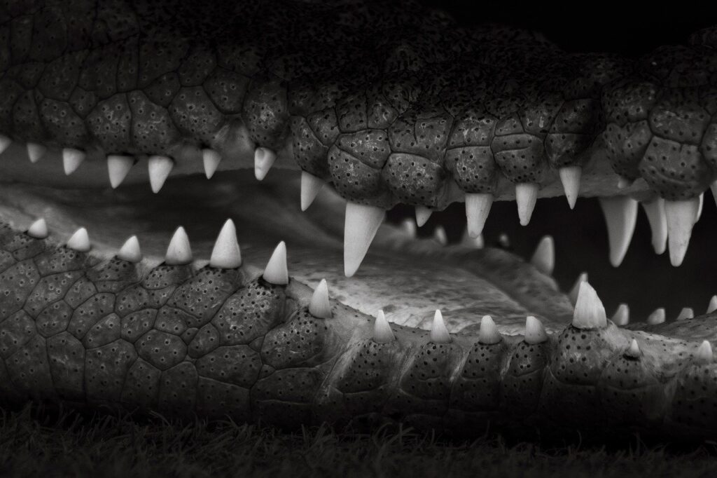 30代既婚者が知っておくべきFXの危険性とは？