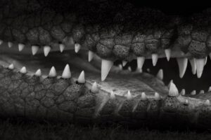 30代既婚者が知っておくべきFXの危険性とは？