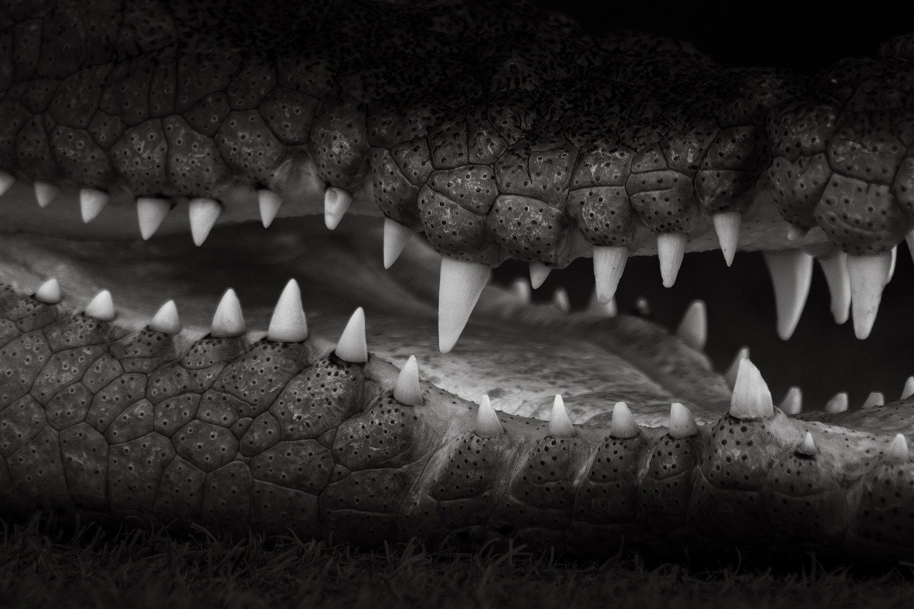 30代既婚者が知っておくべきFXの危険性とは？