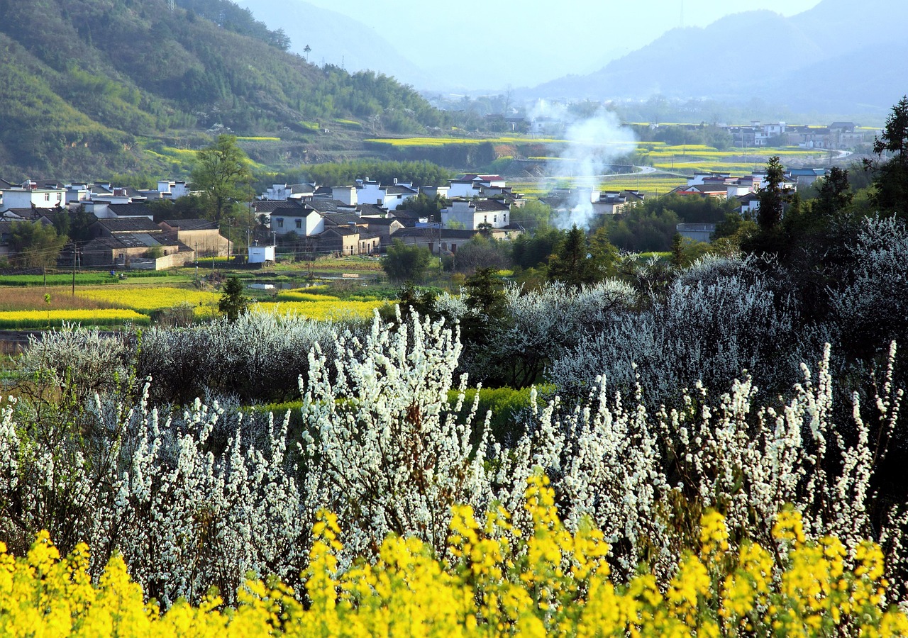 FX少額口座開設の手順はどのように行うべきか？