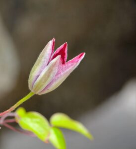 建値決済の使い方を初心者が理解するためのポイントは？