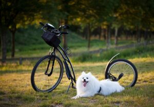 FX用語を最低限覚えるためのポイントは？