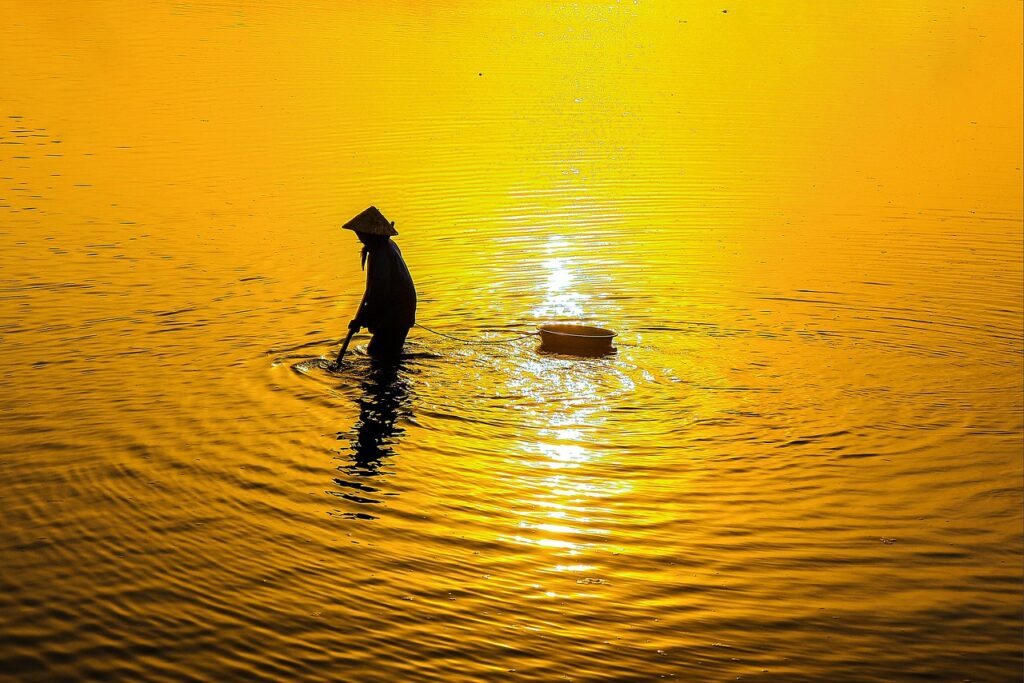 エントリーしない判断基準は何ですか？