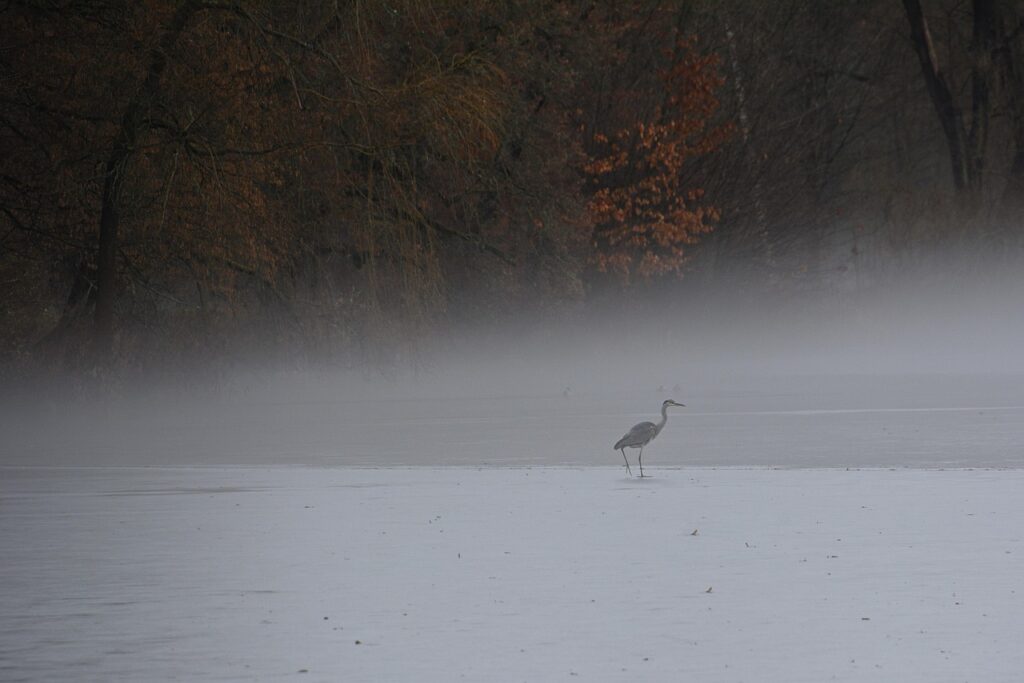 FX詐欺を見分けるための初心者向けポイントは？
