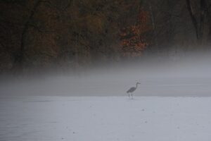 FX詐欺を見分けるための初心者向けポイントは？