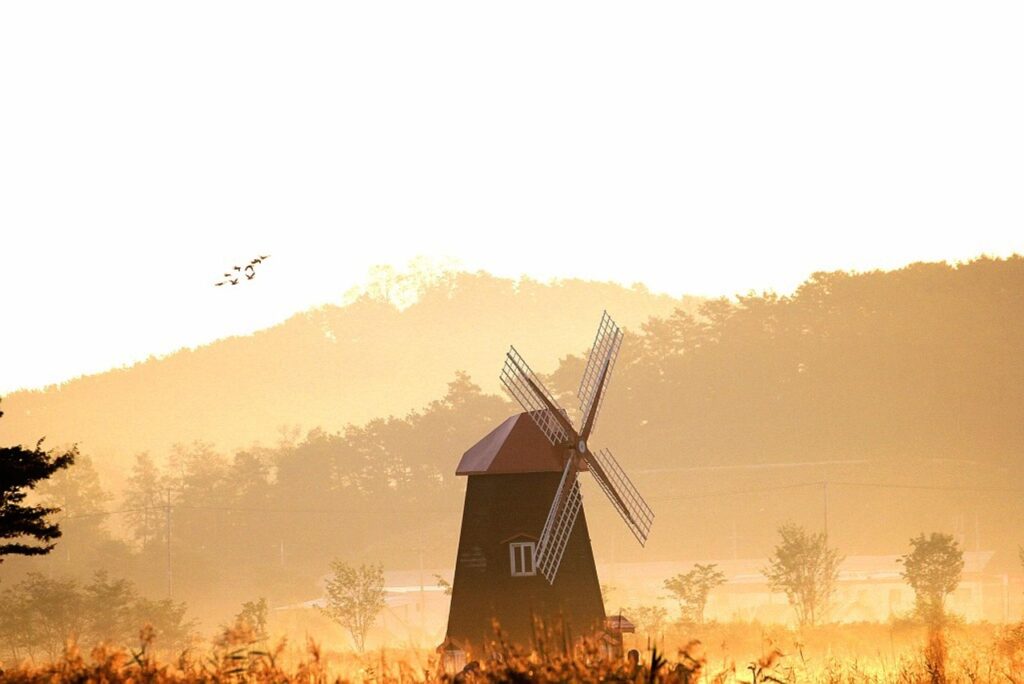 出金できないトラブルに遭遇した際の対処法は？