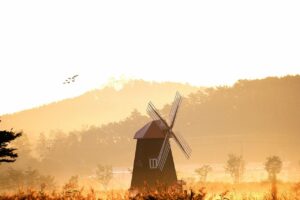 出金できないトラブルに遭遇した際の対処法は？